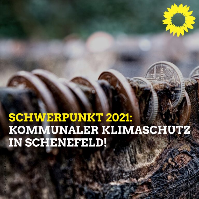 Schwerpunkt 2021: Kommunaler Klimaschutz in Schenefeld