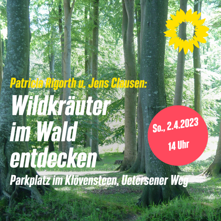 Wildkräuter-Spaziergang am 2.4.: AB IN DEN WALD UND GUCKEN, WAS DA WÄCHST!