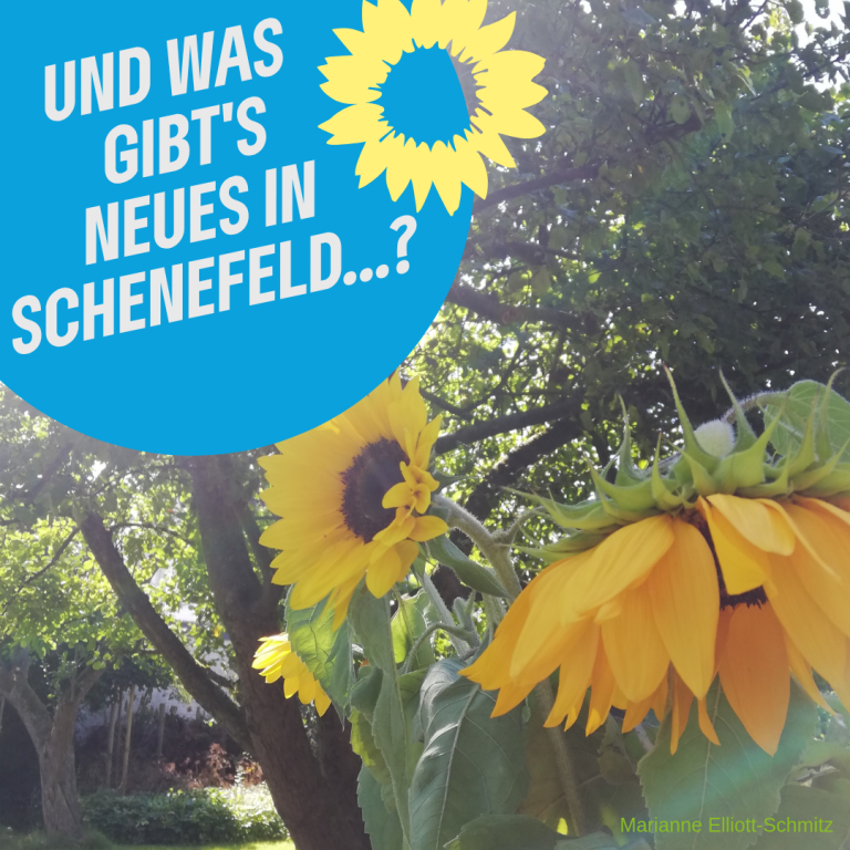 Kurzes News Update….